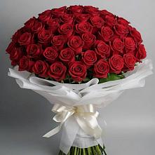 Букет 101 Красная роза Блэк Мэджик в поселок Карьероуправления