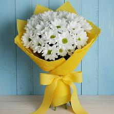 Букет цветов из:  Хризантемы в поселок Карьероуправления