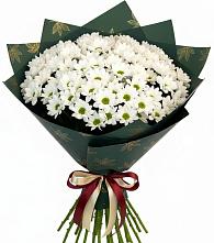 Букет цветов из:  Хризантемы в поселок Карьероуправления