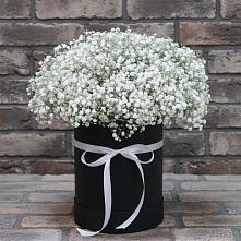 Цветочная композиция из Гипсофила в шляпной коробке в поселок Карьероуправления