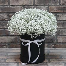 Цветочная композиция из Гипсофила в шляпной коробке в поселок Карьероуправления