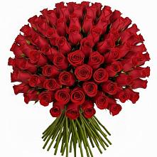 Букет Красные розы Чери Лав в поселок Карьероуправления