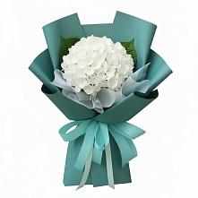 Букет цветов из:  Гортензия #REPLACE_PRED# поселок Карьероуправления